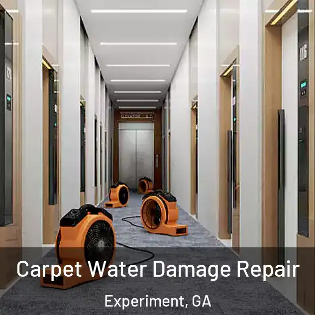  Carpet Water Damage Repair Experiment, GA