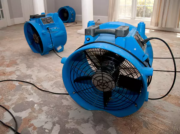 Water Damage Reconstruction in Experiment