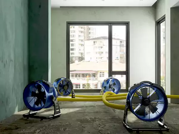 Water Removal Services in Experiment