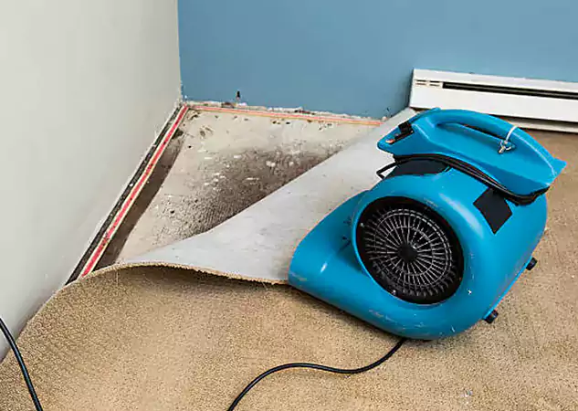 Your Water Damage Experts in Experiment, GA
