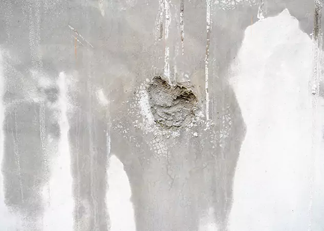 Your Mold Mitigation Solutions Partner in Experiment, GA