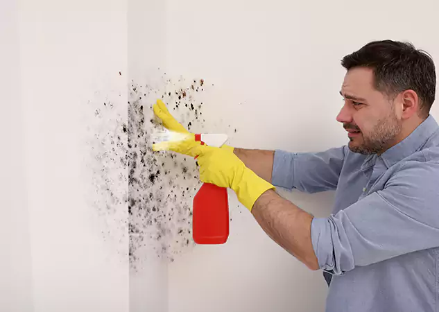 Your Water Mold Fire Restoration Partner in Experiment, GA