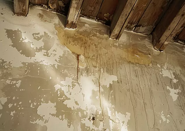 Your Trusted Restoration Company in Experiment, GA
