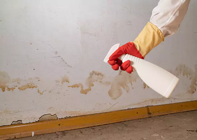 Your Water Restoration and Mold Remediation Specialists in Experiment, GA