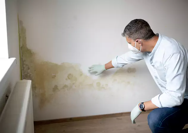 Reach Our Remediation Team Before Damage Grows in Experiment, GA!