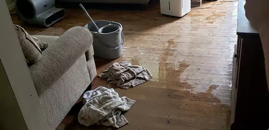 Professional Basement Water Remediation Services in Experiment, GA