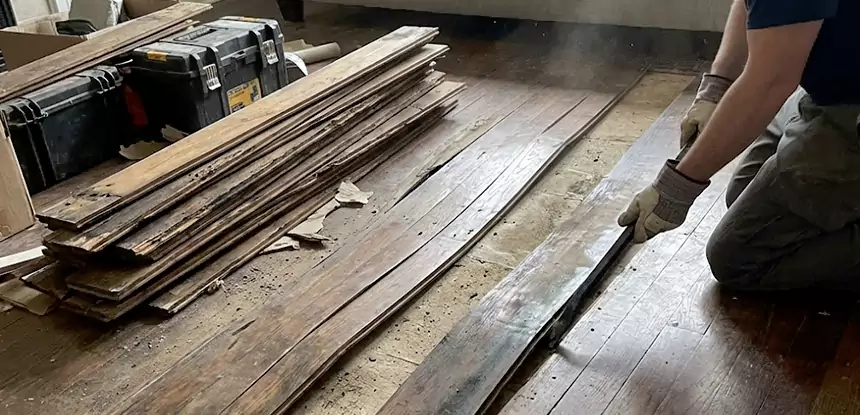 Wood Rot and Fungus Repair in Experiment