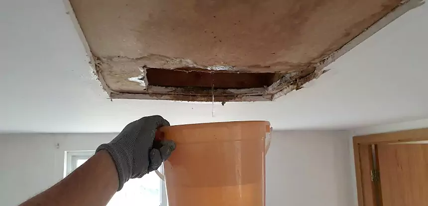 Ceiling Mold Repair Experiment 