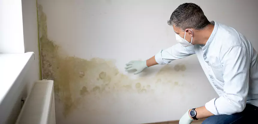 Mold and Water Damage Repair in Experiment