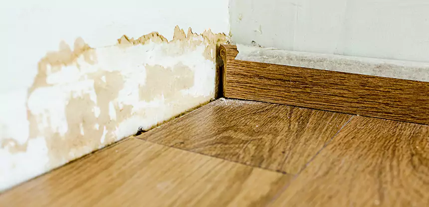 Professional Fix Water Damaged Wood Services in Experiment, GA
