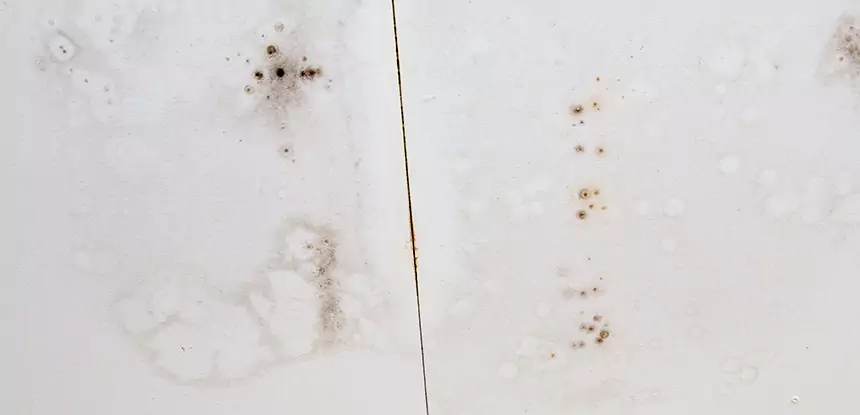Professional Water Stain Repair Services in Experiment, GA