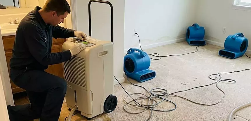 Professional Wet Carpet Removal Services in Experiment, GA