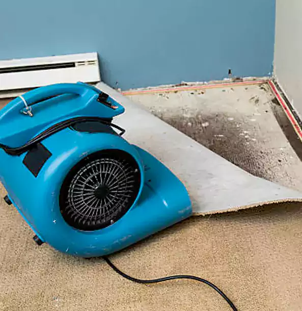 Why Experiment Trusts Experiment Restoration Pro for Carpet Flood Recovery?