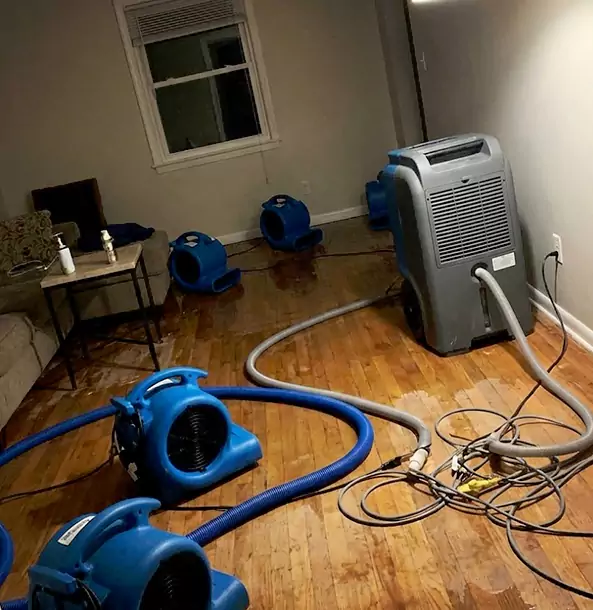 Why Experiment Calls Experiment Restoration Pro First for Emergency Restoration?