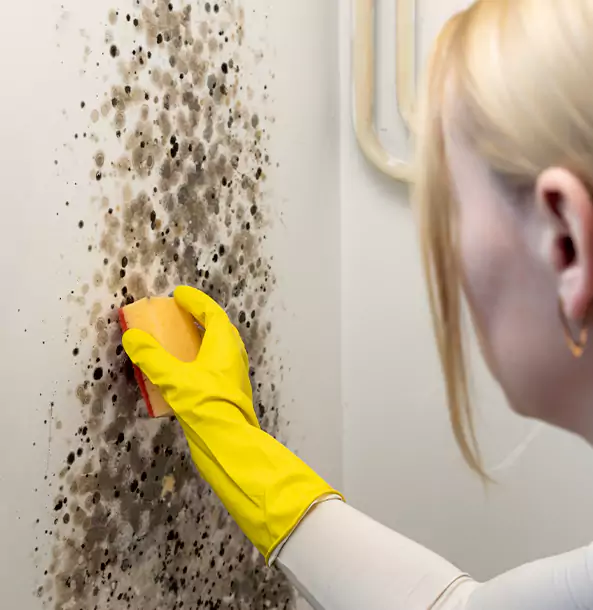 Why Experiment Restoration Pro Leads Mold Remediation in Experiment?