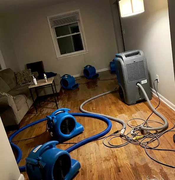 Why Experiment Property Owners Rely on Experiment Restoration Pro for Remediation?