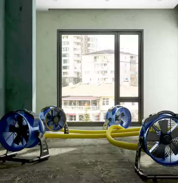 Why Experiment Property Owners Trust Experiment Restoration Pro for Water Damage Drying?