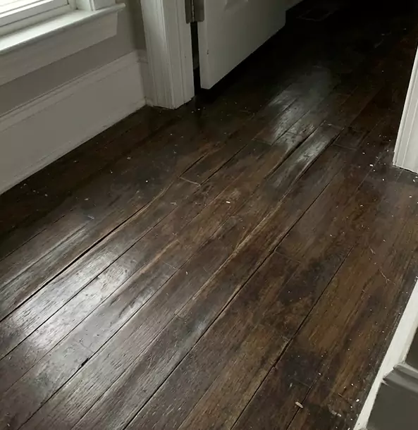 Why Experiment Homeowners Trust Experiment Restoration Pro to Fix Water Damaged Wood?