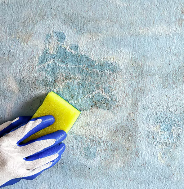 Why Experiment Restoration Pro Is the Right Choice in Experiment, GA?