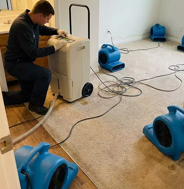 Why Experiment Homeowners and Businesses Trust Experiment Restoration Pro for Carpet Drying?