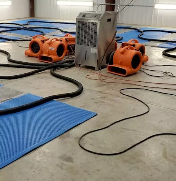Why Experiment Homeowners and Businesses Choose Experiment Restoration Pro for Wet Carpet Removal?