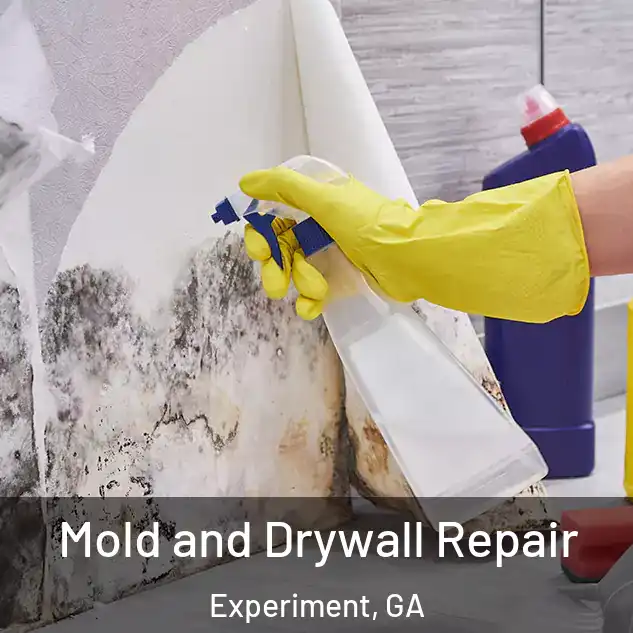  Mold and Drywall Repair Experiment, GA