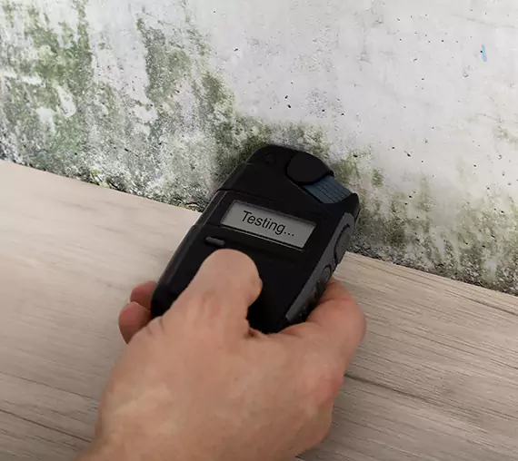 Mold Remediation Service Experiment