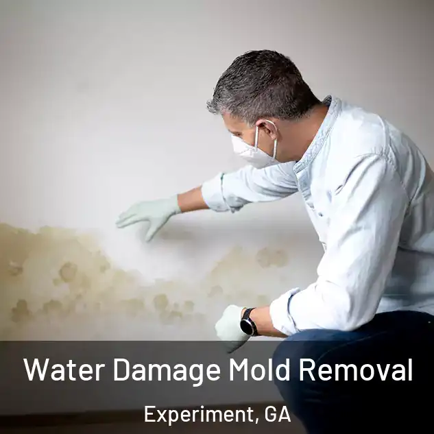  Water Damage Mold Removal Experiment, GA
