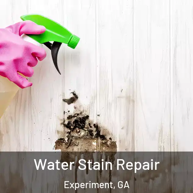  Water Stain Repair Experiment, GA