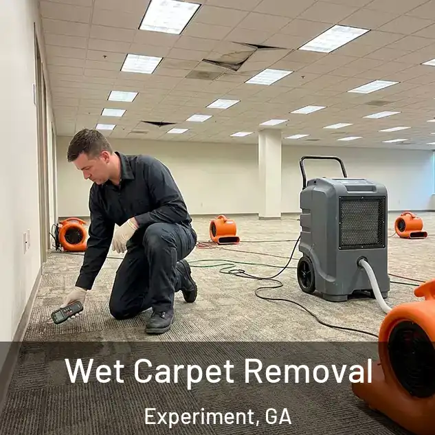  Wet Carpet Removal Experiment, GA
